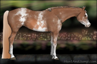 Horse Color:White Spotted Chestnut Sabino 