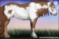 Horse Color:Liver Chestnut Frame 