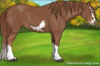 Horse Color:Chestnut Splash Frame 