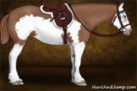 Horse Color:Chestnut Splash Frame