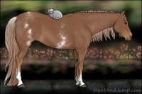 Horse Color:White Spotted Chestnut Sabino