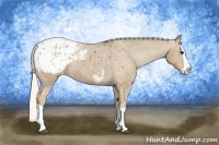 Horse Color:Silver Smoky Black Splash Appaloosa 