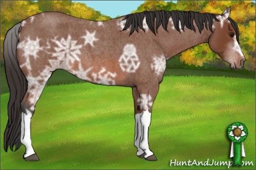 Horse Color: Bay Ice Roan 