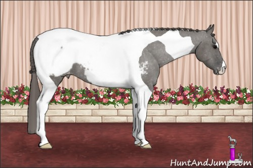 Horse Color: Grullo Tobiano Snowcap 