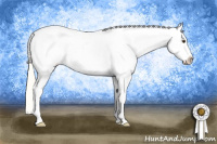Horse Color:Palomino Roan Sabino Snowcap 