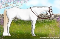 Horse Color:Buckskin Frame Varnish Rabicano 