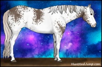 Horse Color:White Spotted Silver Black 