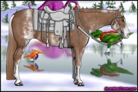 Horse Color:White Spotted Chestnut Sabino 