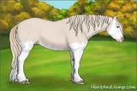 Horse Color:Smoky Creme Splash 