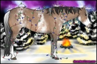 Horse Color:White Spotted Bay Dun Sabino 