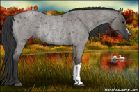 Horse Color:Brown Roan Dun Rabicano