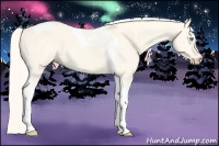 Horse Color:Cremello Dun Tobiano 