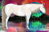 Horse Color:Perlino Dun Tobiano 
