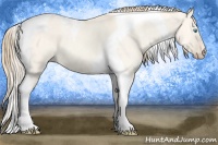 Horse Color:Perlino Dun Tobiano 