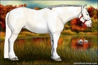 Horse Color:Cremello Dun Tobiano 