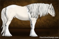 Horse Color:Cremello Dun Tobiano 