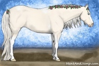 Horse Color:Cremello Dun Tobiano 