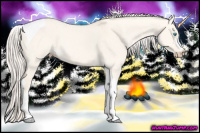Horse Color:Cremello Dun Tobiano 