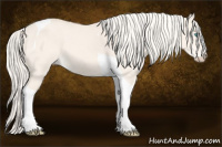 Horse Color:Cremello Dun Tobiano 