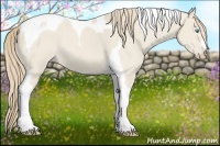 Horse Color:Smoky Creme Dun Tobiano 