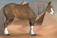 Horse Color:Chocolate Palomino Splash 