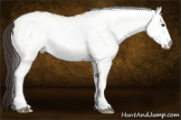 Horse Color:White Spotted Buckskin Dun Rabicano 