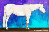Horse Color:Cremello Dun Tobiano