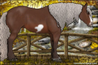 Horse Color:Silver Brown Frame 