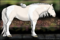 Horse Color:Cremello Dun Tobiano 
