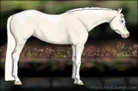 Horse Color:Cremello Dun Tobiano 