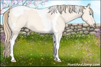 Horse Color:Perlino Dun Tobiano 