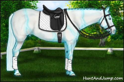 Horse Color: Unknown 