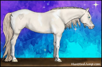 Horse Color:Perlino Dun Tobiano 