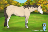 Horse Color:Buckskin Dun Sabino 