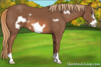 Horse Color:Liver Chestnut Frame 