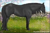 Horse Color:Black Splash 