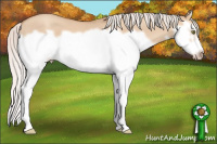 Horse Color:Silver Classic Champagne Dun Splash Frame 