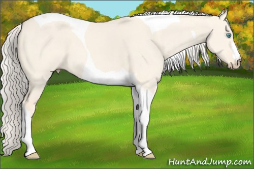 Horse Color: Cremello Dun Tobiano 