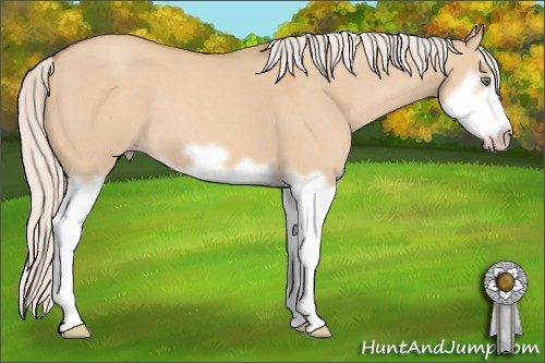 Horse Color: Silver Classic Champagne Dun Splash Frame 