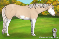 Horse Color:Silver Classic Champagne Dun Splash Frame 