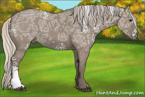 Horse Color: White Spotted Silver Smoky Grullo Ice 