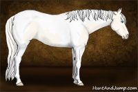 Horse Color:Cremello Dun Tobiano
