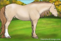 Horse Color:Smoky Black Pearl 