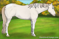 Horse Color:Smoky Creme Dun Tobiano 