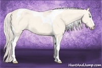 Horse Color:Cremello Dun Tobiano