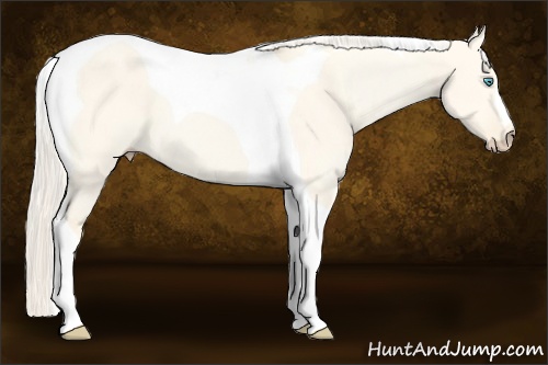 Horse Color: Cremello Dun Tobiano 
