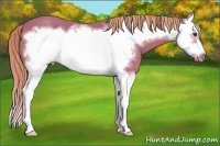 Horse Color:Watercolor Chestnut Splash Frame 