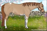 Horse Color:Red Dun Tobiano 