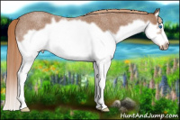 Horse Color:Red Roan Splash Frame 