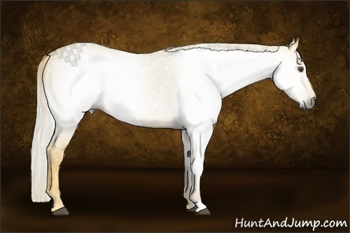 Horse Color:Gray Palomino Dun